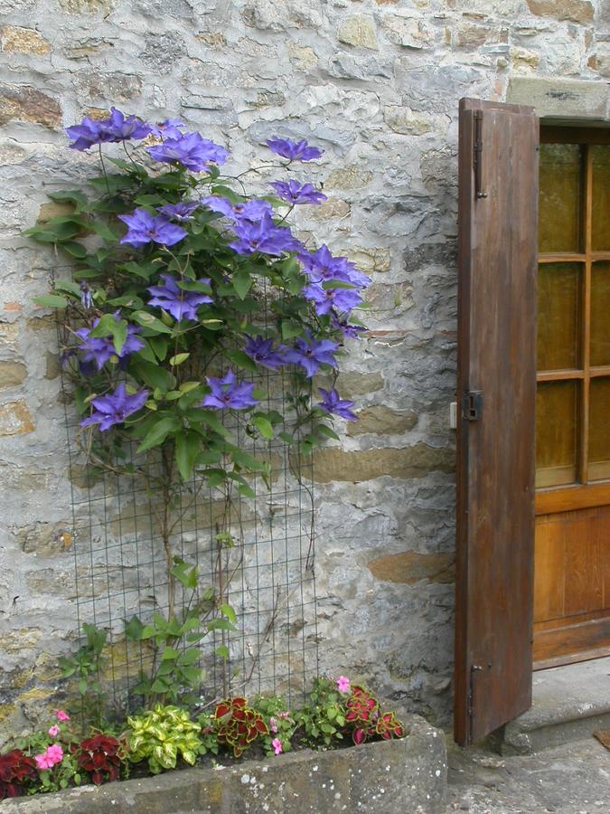 Bed and Breakfast Fattoria Poggerino Radda in Chianti Zewnętrze zdjęcie